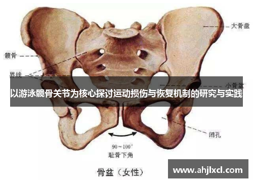 以游泳髋骨关节为核心探讨运动损伤与恢复机制的研究与实践